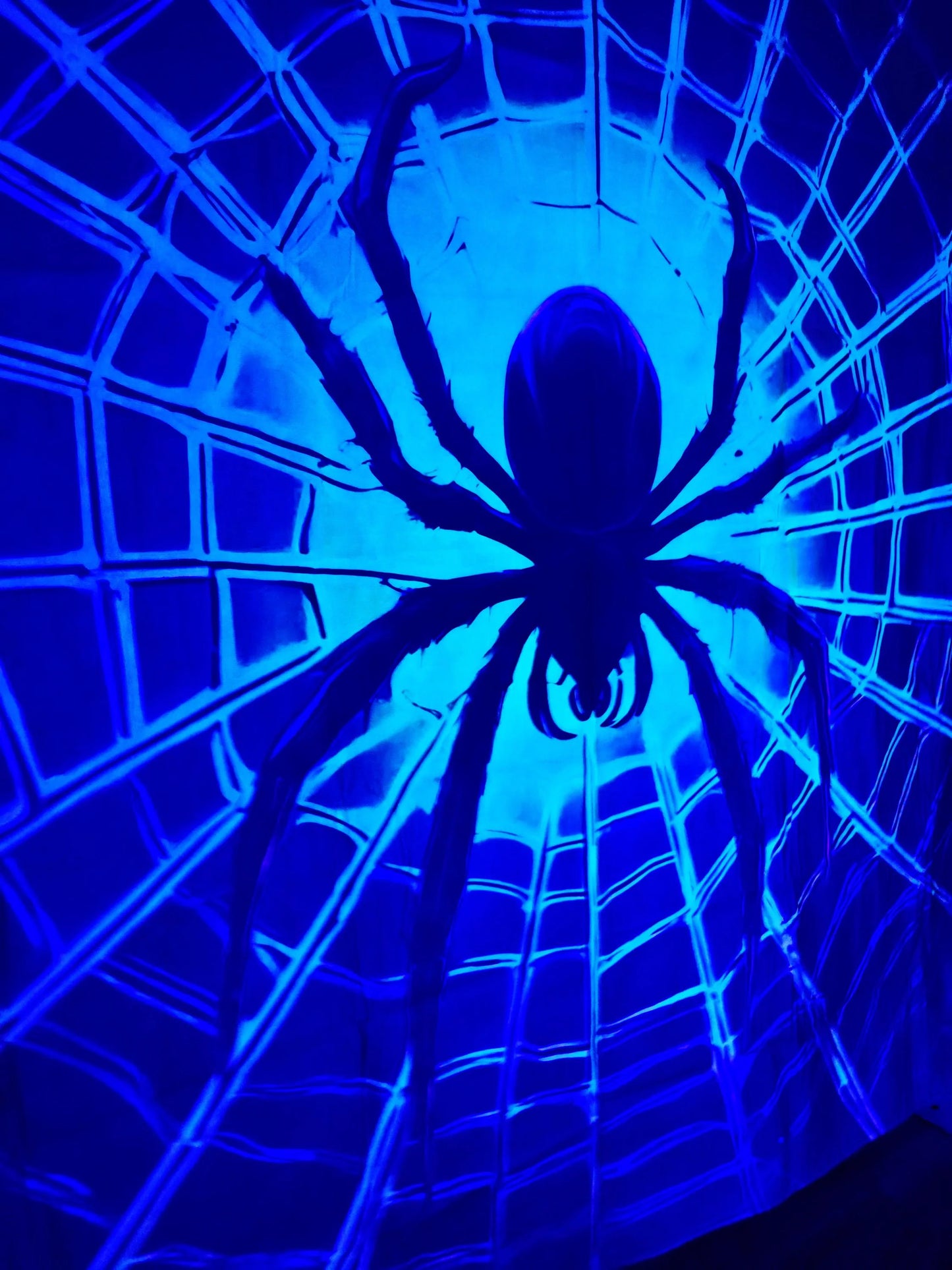 spider wall hanging glow in the dark uv decor
